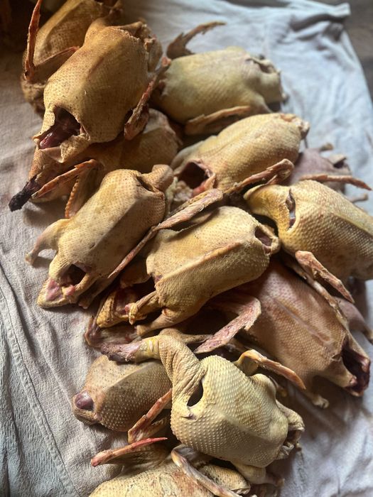 Мясо гусей уток звоните пишите