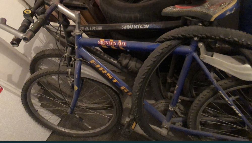 Biciclata albastra first bike