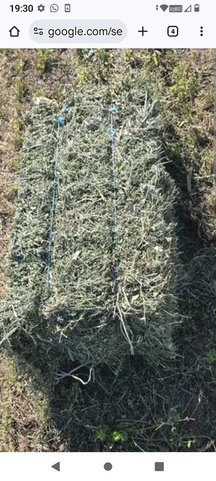 Vând baloți iarba mixtă