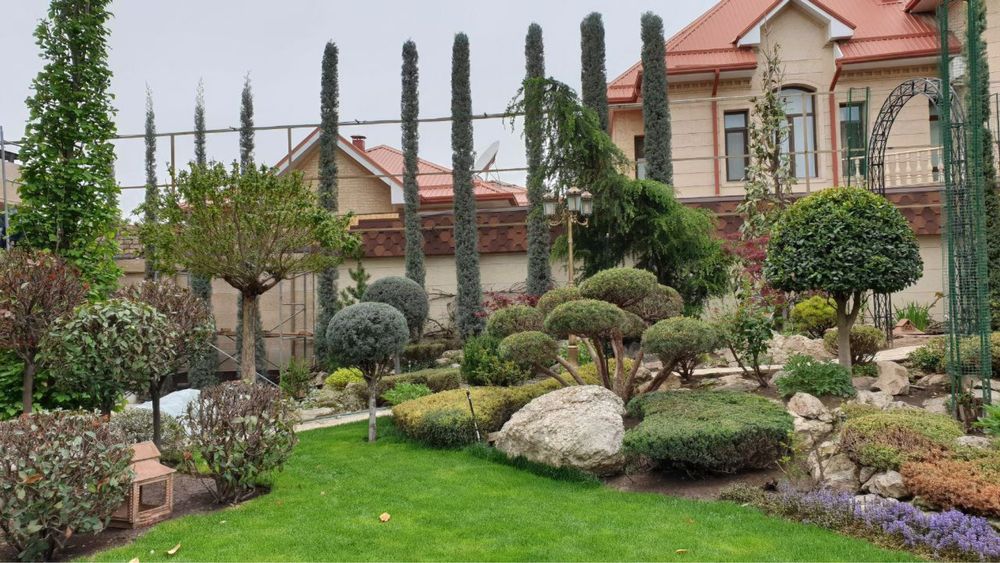 landshaft qilish toshkent | Gazon ekish xizmati