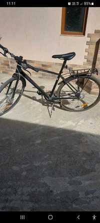 Vand bicicleta Giant əscape