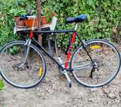 bicicleta semi-cursiera