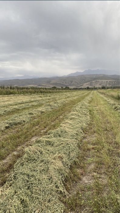 Продам землю