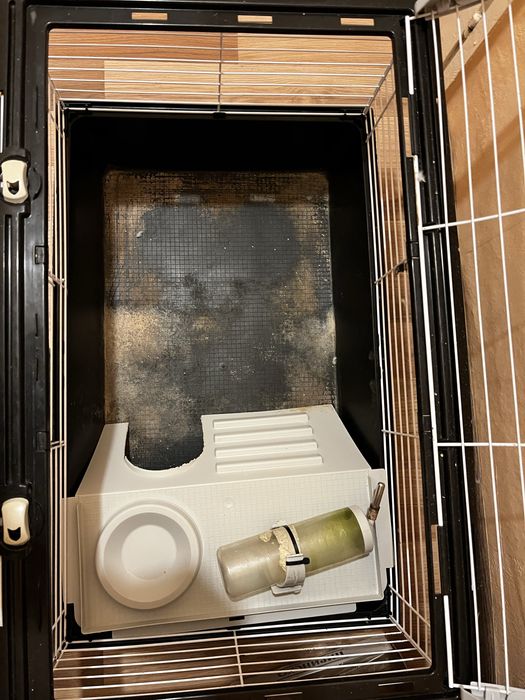 Голяма Клетка за морски свинчета или зайци