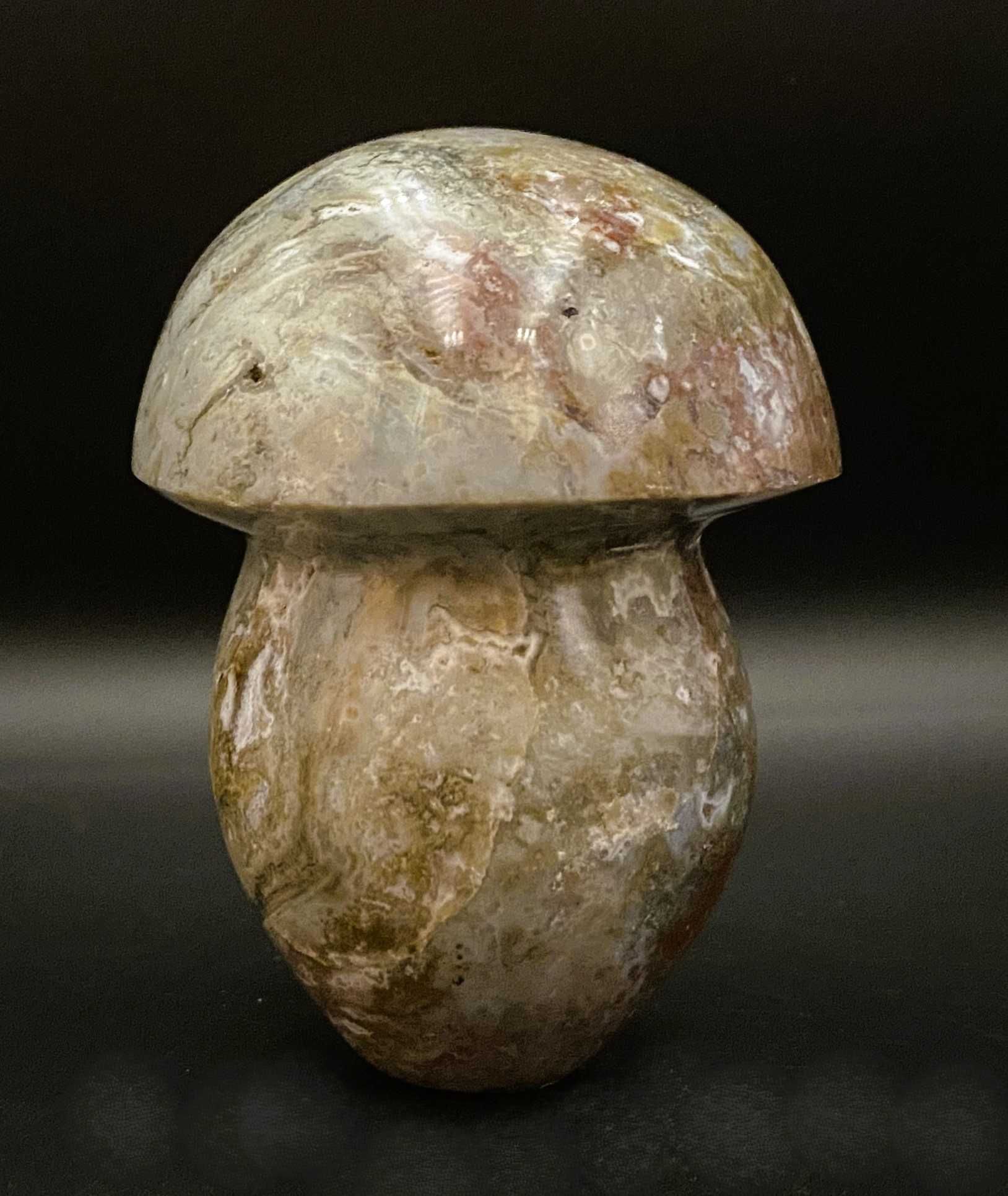 Cristale/Minerale - Jasp Oceanic - ciuperca piatra semipretioasa