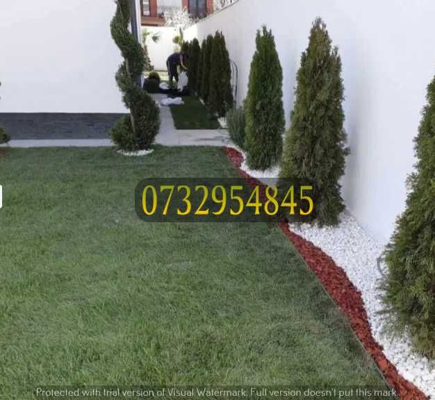 Gazon Natural Rulou – Frumusețe și Rezistență Garantată