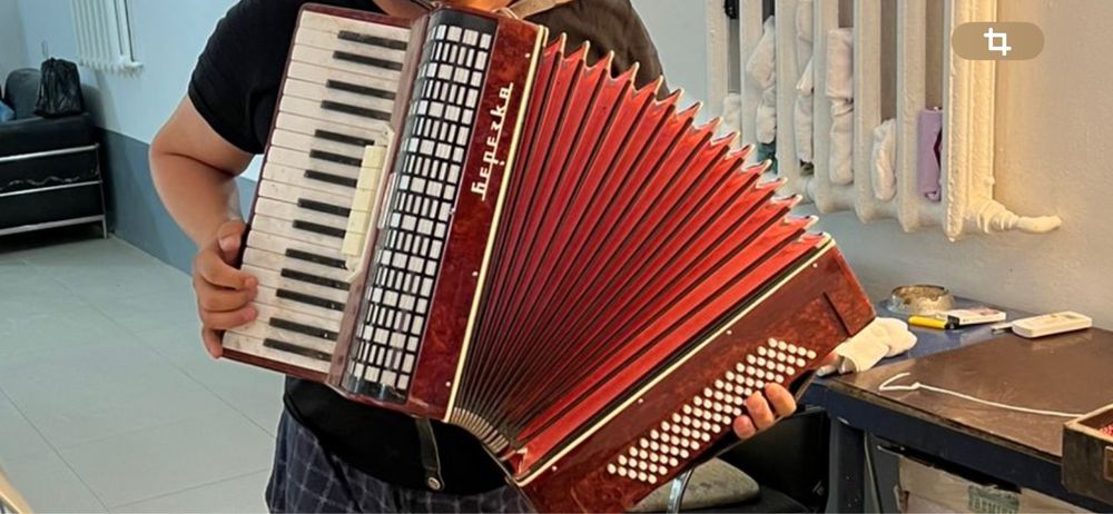Аккордеон музыкальный инструмент