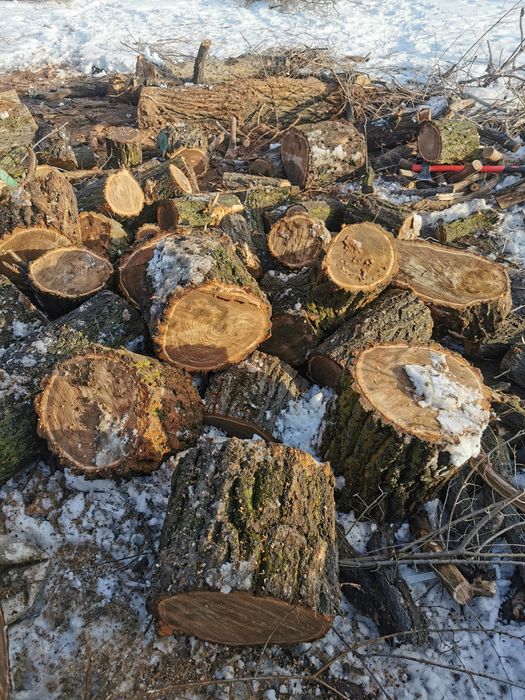 Продам дрова карагач сухой