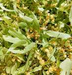Продавам липа, много добра и с аромат