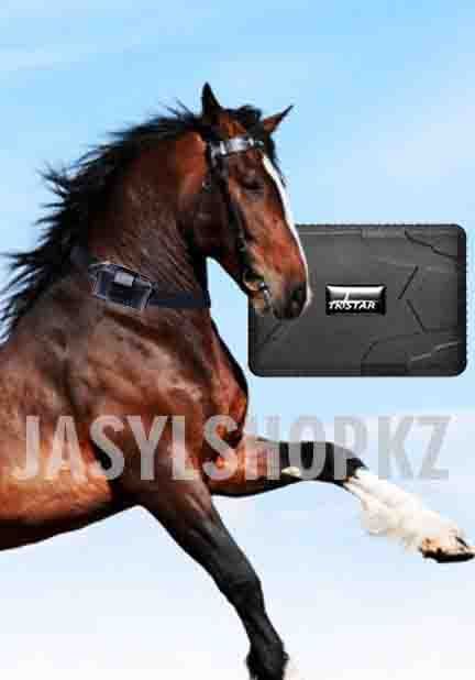 GPS трекер для лошадей и КРС жпс малга жылқыға малға