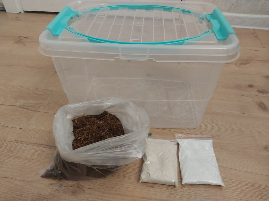 Контейнер для улиток ахатин