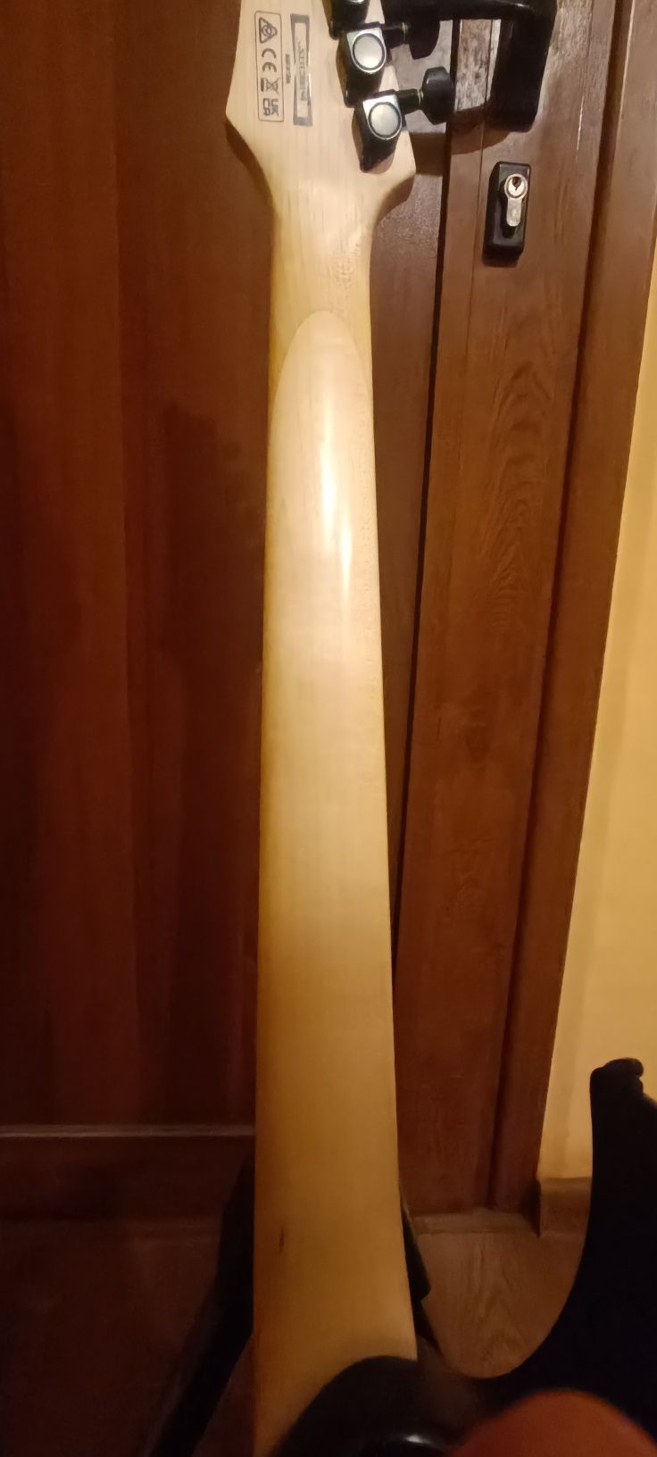 Ibanez  grg  121