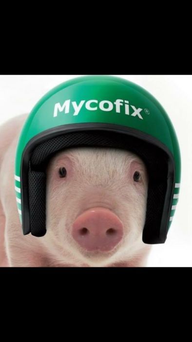 tarata furajera concentrate