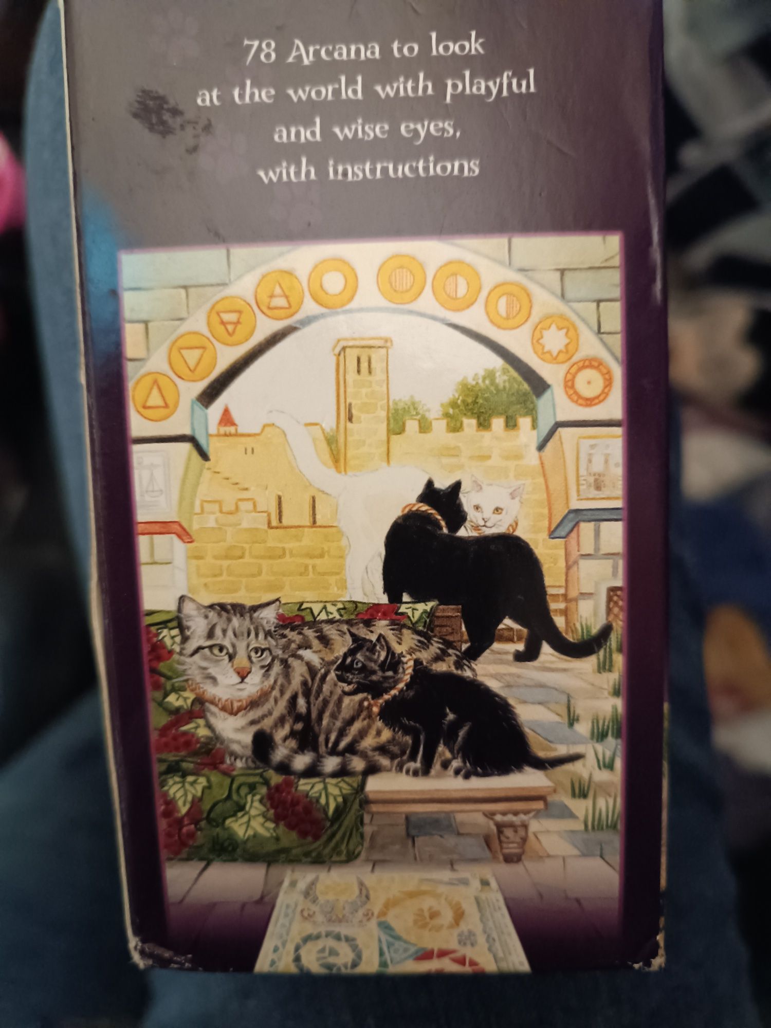 Taro of Pagan Cats/ с котки/ Magdelina Messima