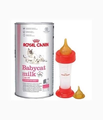 ROYAL CANIN babycat milk