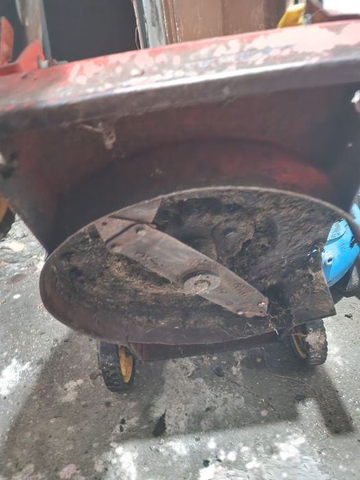 Бензинова косачка италянска