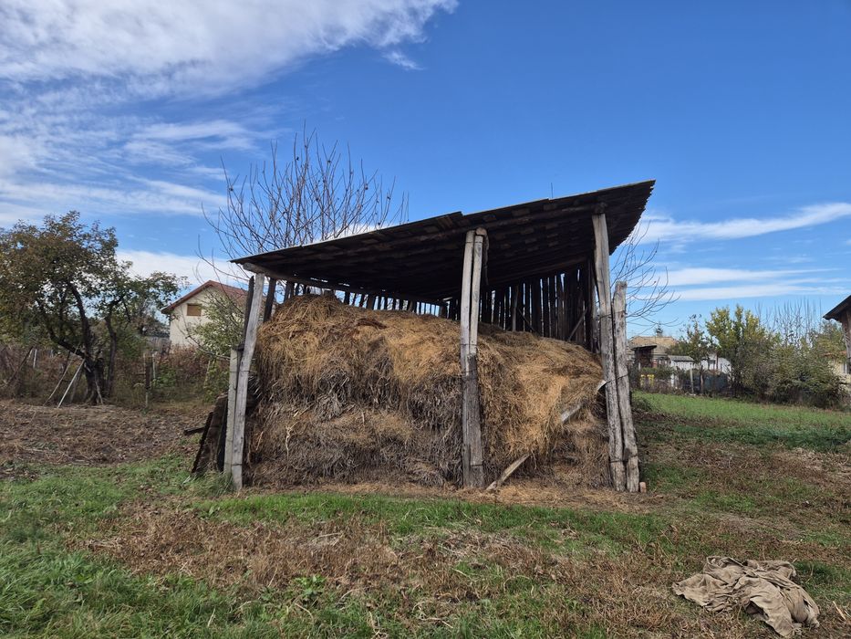 Vând urgent lucernă producție 2024/2025(depozitată în fânărie)