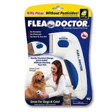 antipurici flea doctor