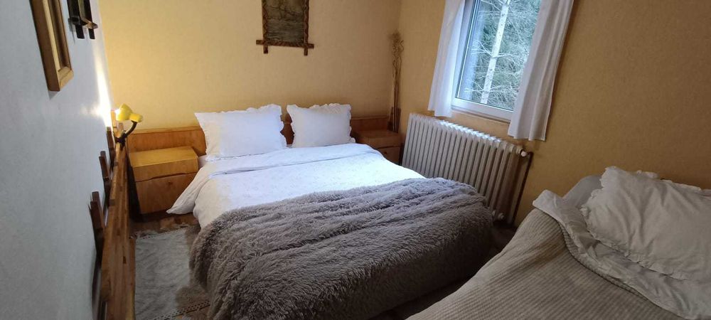 Cabana de închiriat, OCUPATA de Revelion. La 10 minute de Buscat.