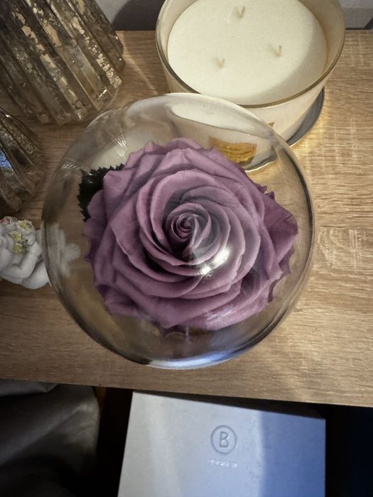 Вечна роза в стъкълница