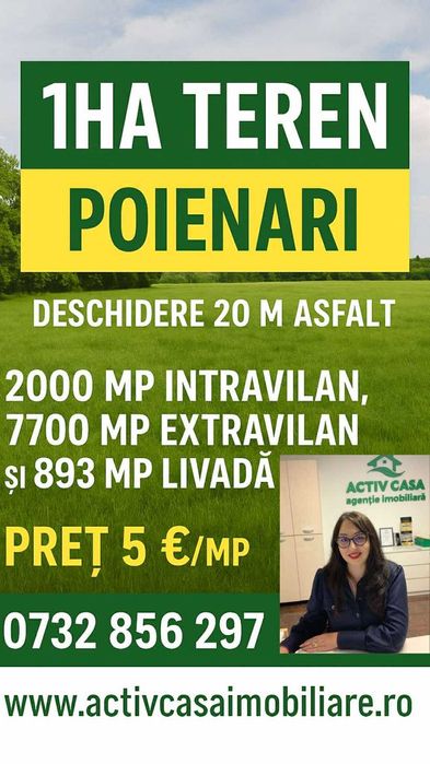 Teren 1 ha, Poienari- Neamt
