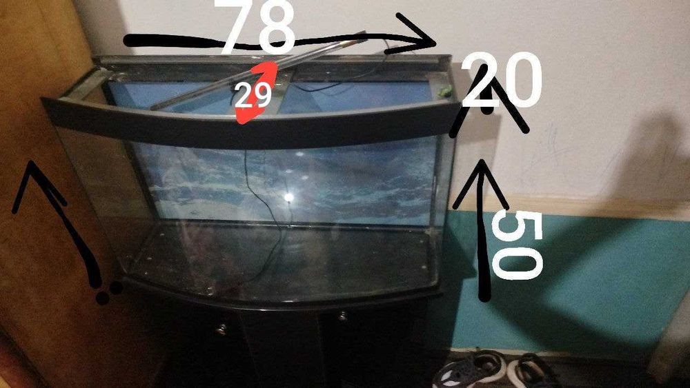 Аквариум сотаман))