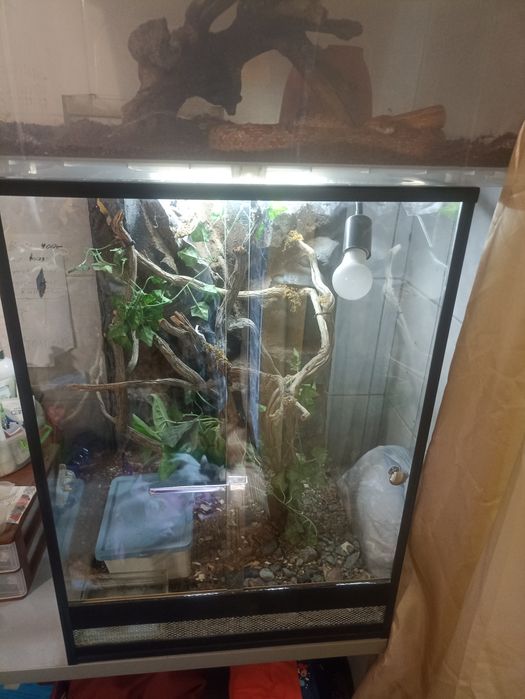 Продам рабочую пару