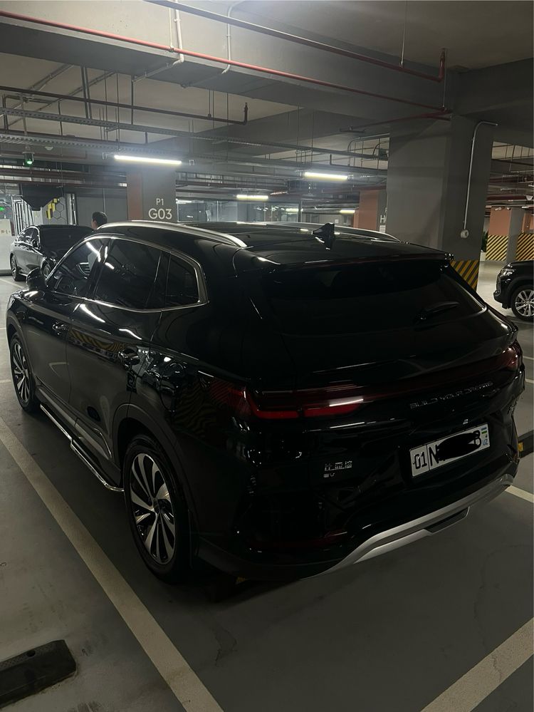Эгасидан Byd Chаmpion EV 605км