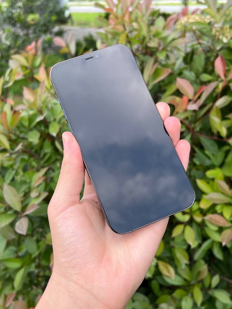 Iphone 12 pro max