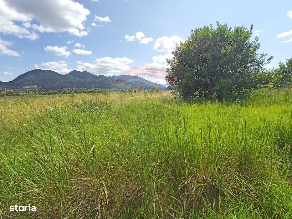 COMISION 0%! Teren 712mp Sacele / Strada Postavarului