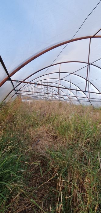 Sere/ solarii tip tunel metalice