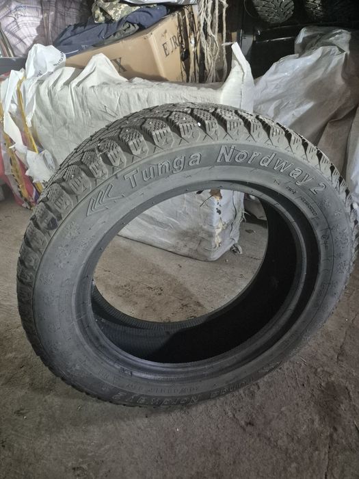 Зимние шины шиповник