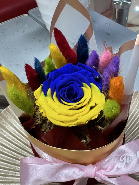 Trabdafir criogenat cu lagurus