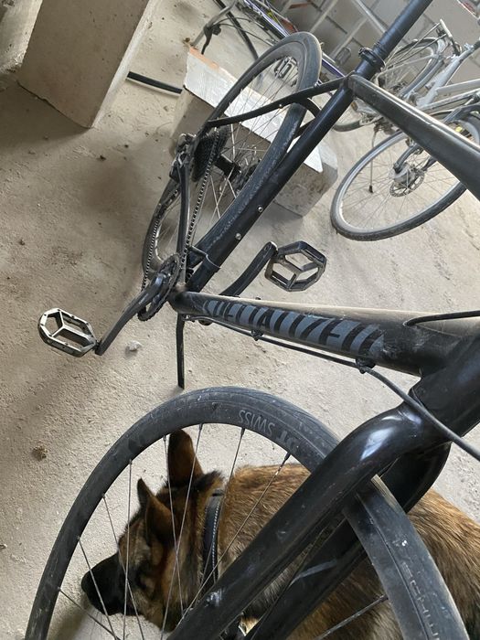 Bicicleta specialized