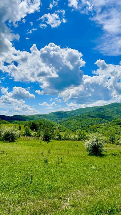 Terenuri extravilane de vânzare – Cozieni, jud. Buzău