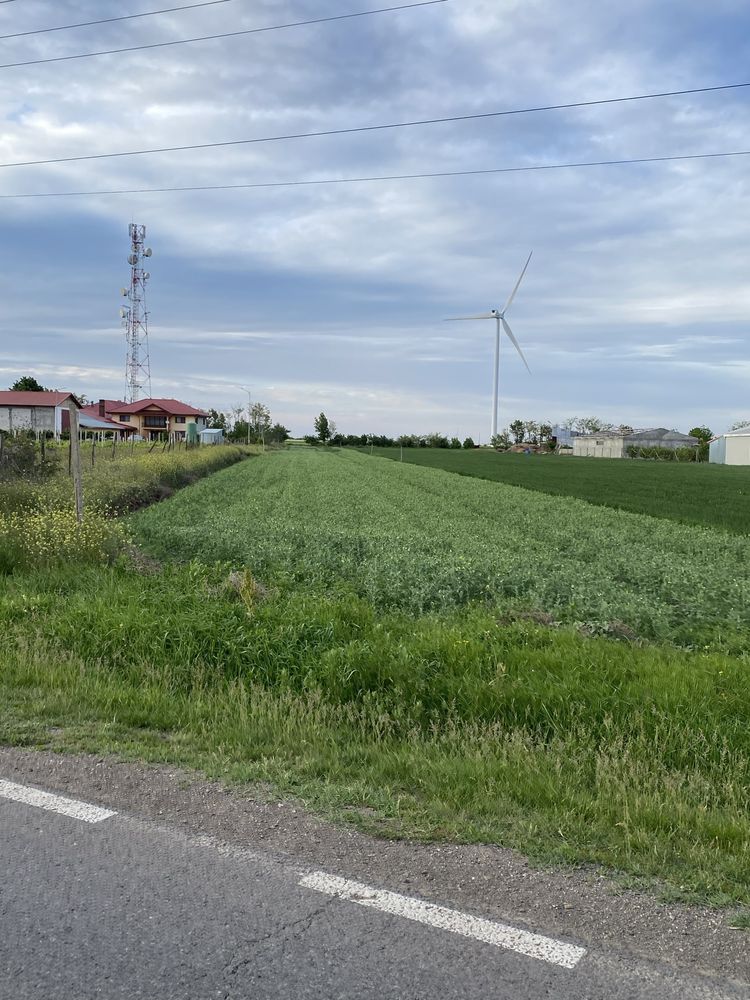 Vând teren intravilan si extravilan in Slobozia Conachi , Gl