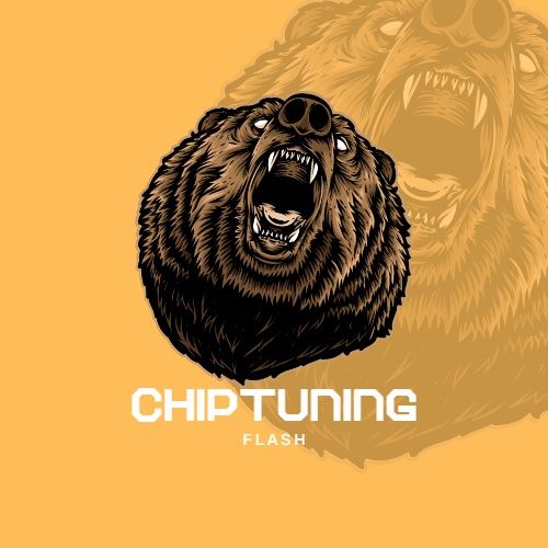 Chiptuning auto tuning file +  online