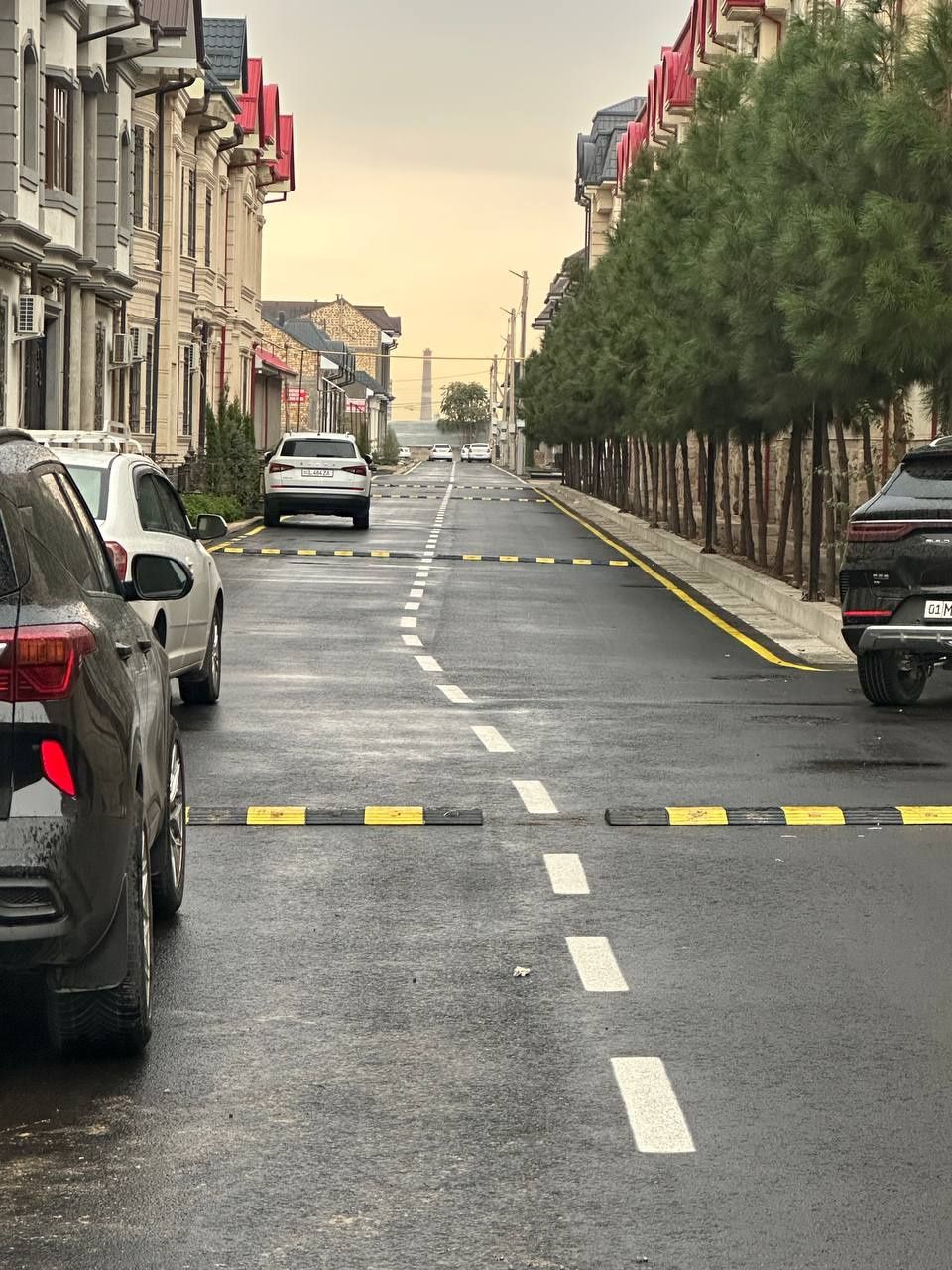 Lejayishi poliseski
