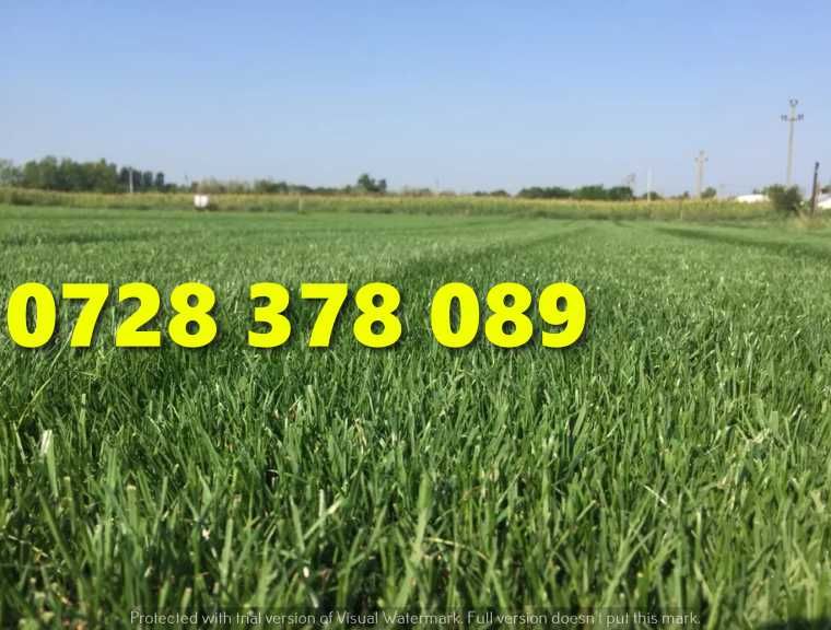 Rulouri de gazon plus Montaj !