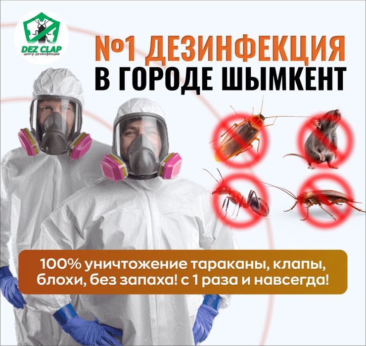 Дезинфекция, Дизинфекция, Шымкент без запаха, тараканы, клапы, крысы