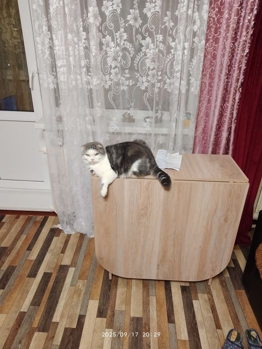 Мебель Стол книжка