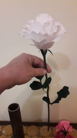 Рози ВСИЧКИ цветове по избор