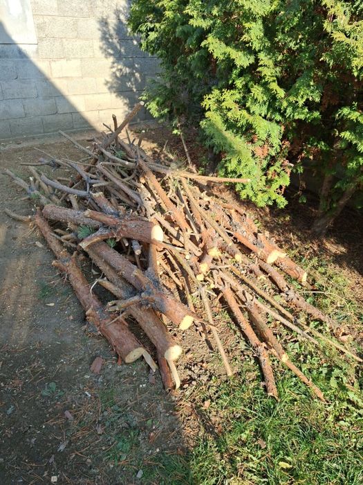 Отдам дрова бесплатно