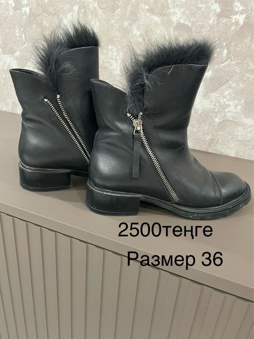Сапоги натуральная кожа 2500