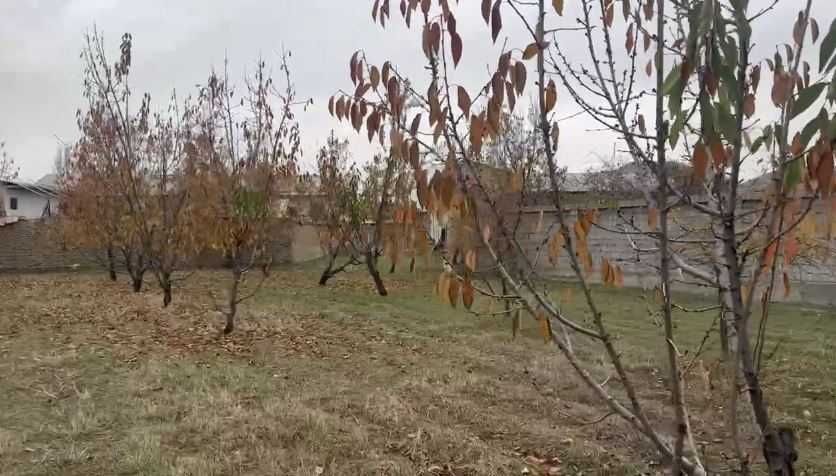 Срочно продается участок под застройку в Яшнабадском р-не (Тузель)