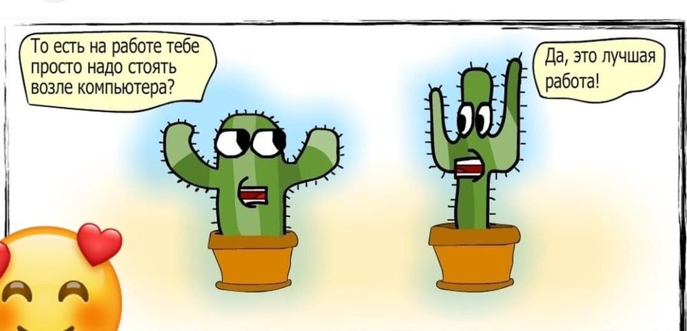 Кактусы продаю...