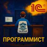 Программист | 1С | IT-услуги | Айтишник | Python | Windows