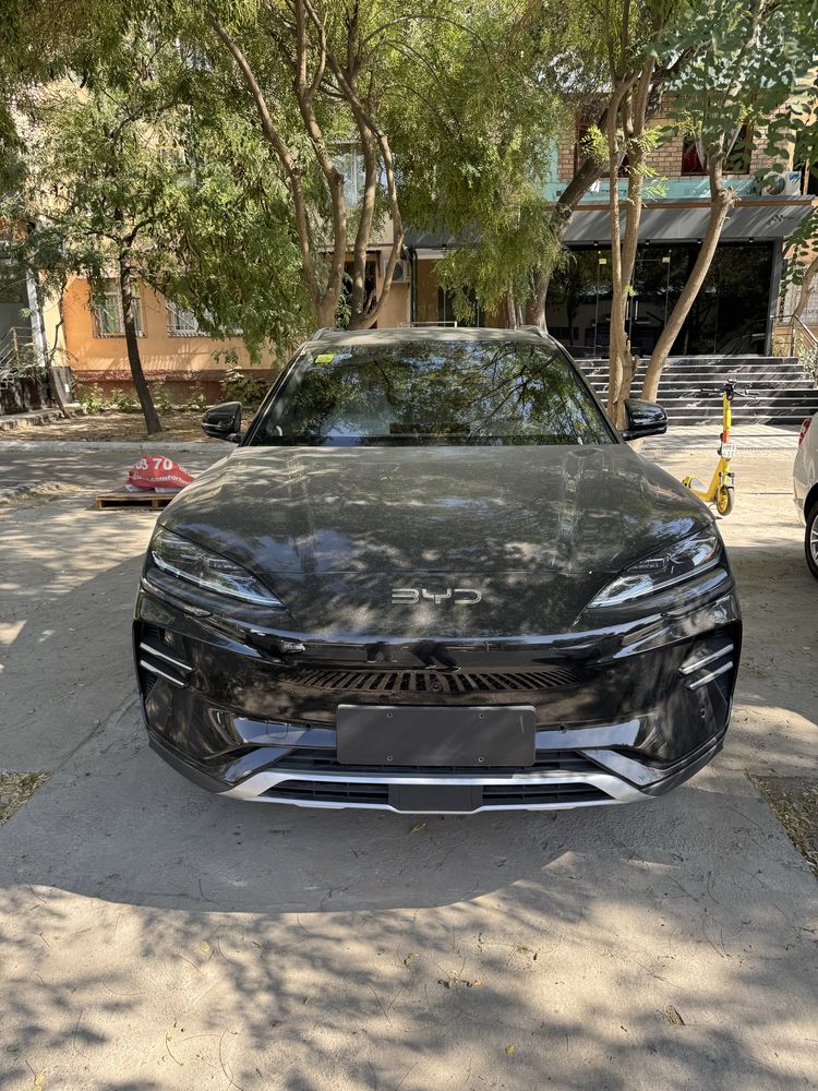 BYD chimpion Smart 25-26