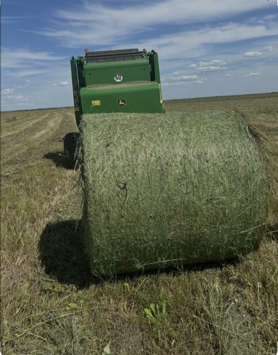 Сено Шоп сатам 2025