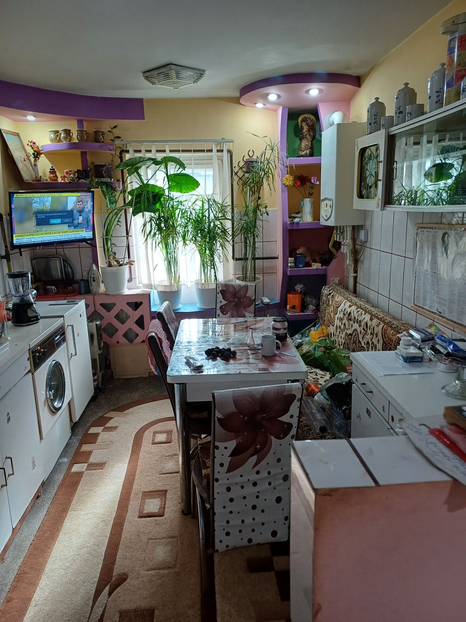 apartamente de vanzare lupeni